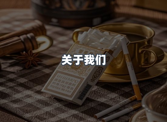 关于我们